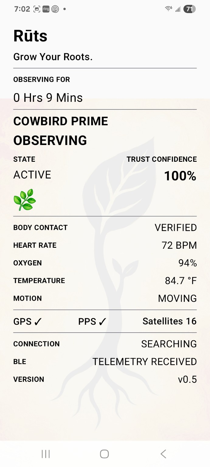 Rūts telemetry and Sphirosystem observation interface